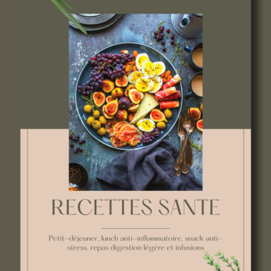 Cover eBook Recettes Sante