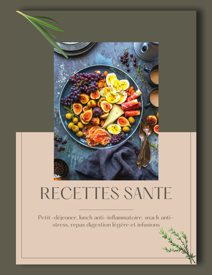 Cover eBook Recettes Sante