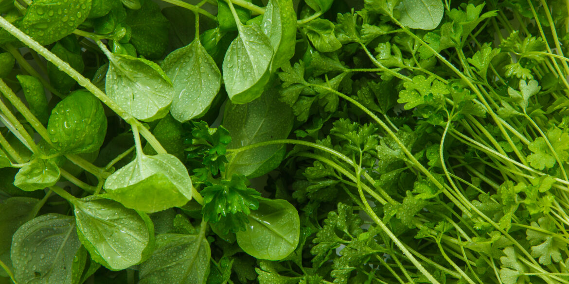 Cuisiner la transition vers le printemps