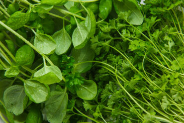 Cuisiner la transition vers le printemps