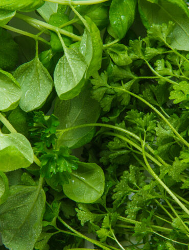 Cuisiner la transition vers le printemps