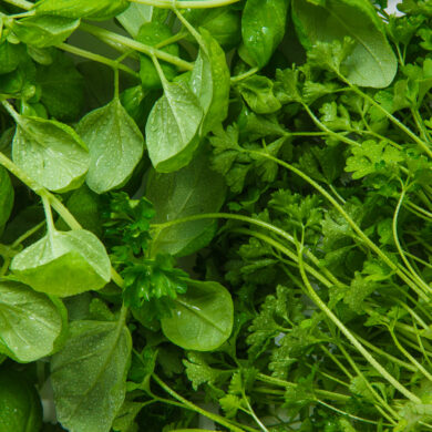 Cuisiner la transition vers le printemps