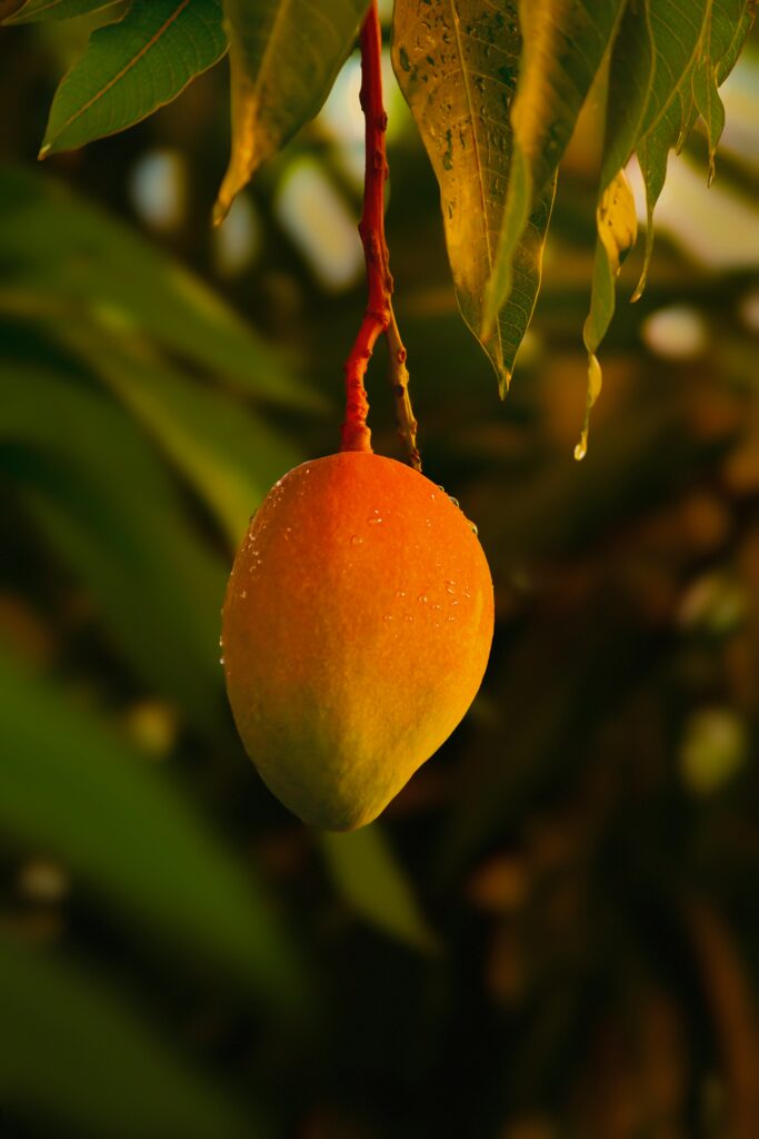 soleil aliment bon pour la peau